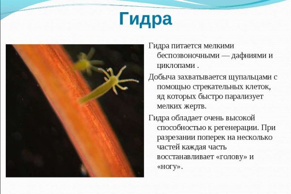 Кракен даркнет в тор