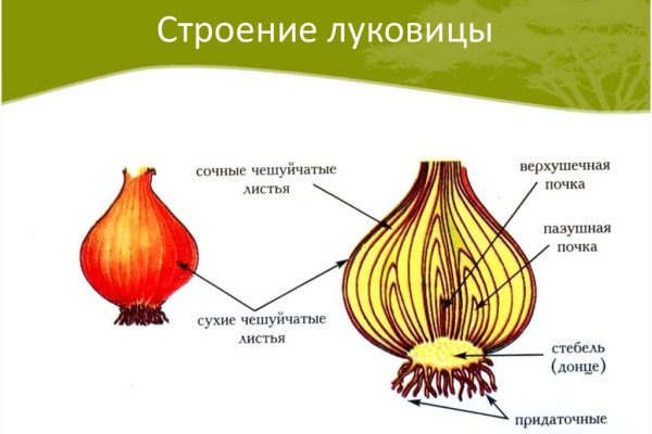 Кракен оренбург